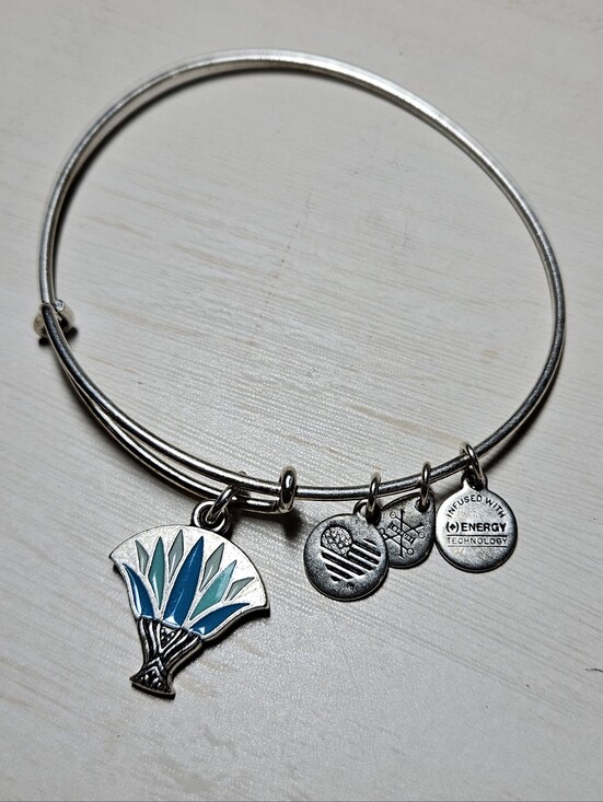 Alex and Ani Jewelry - Alex and Ani Blue Lotus Charm Bangle Bracelet • Rafaelian Silver Finish